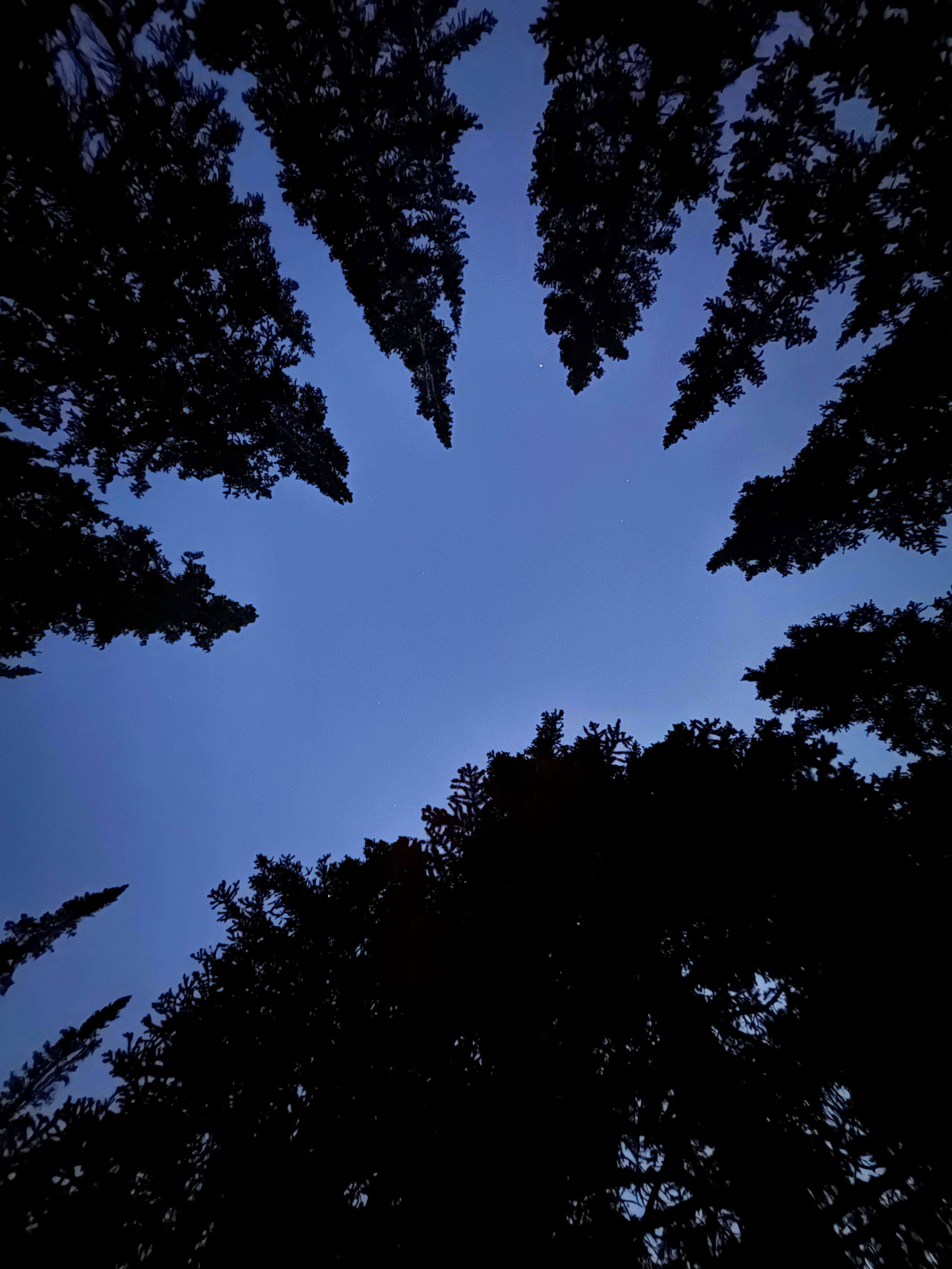 Wasatch National Forest Moosehorn Campground