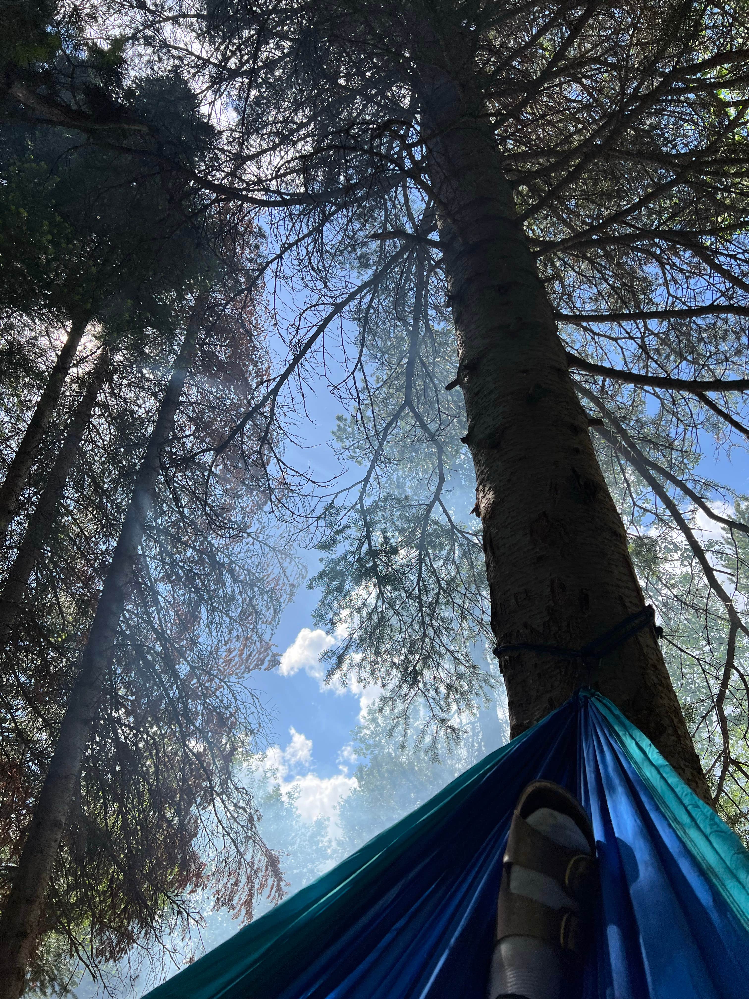 Camper-submitted photo at Wasatch National Forest Soapstone Campground near Kamas, UT
