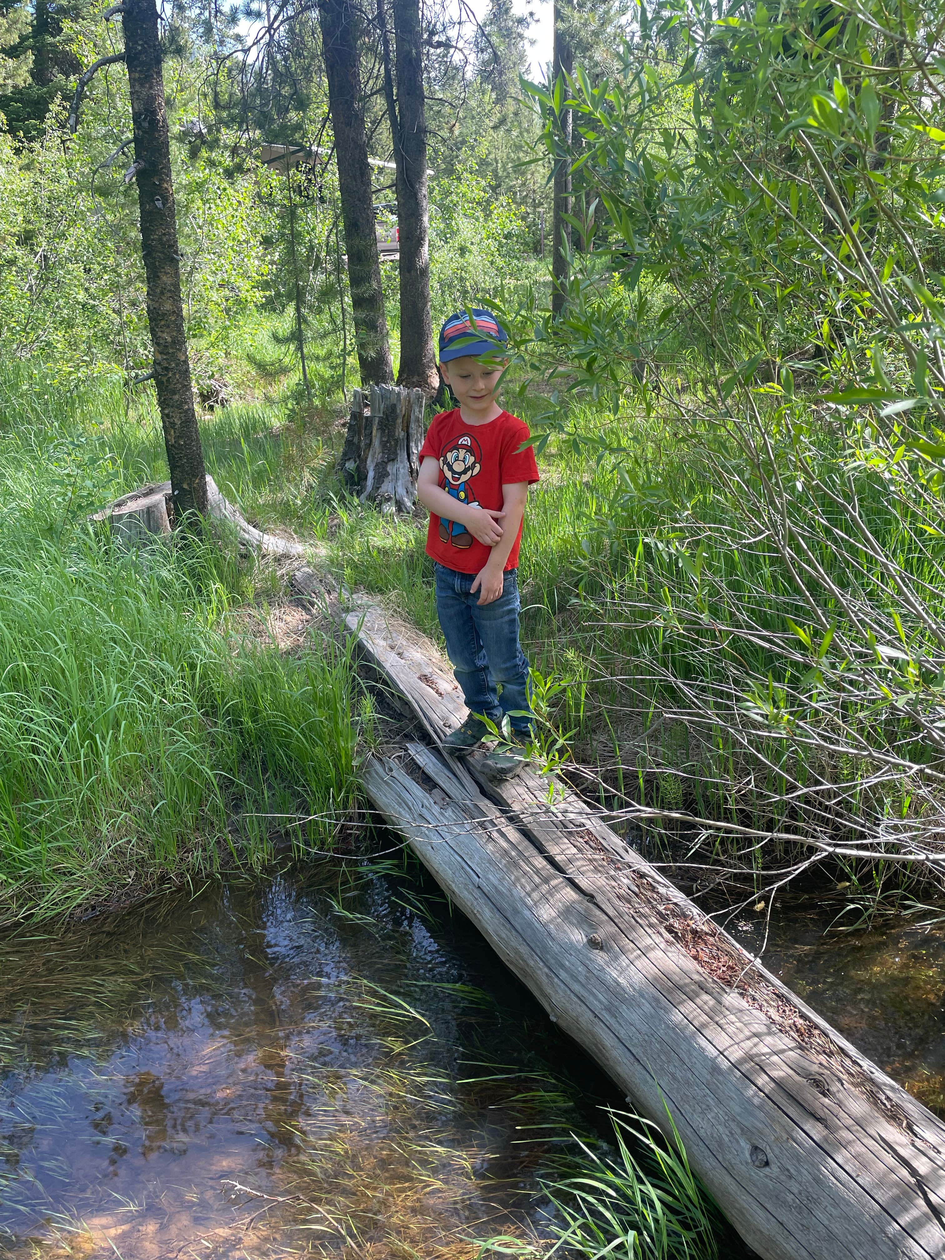 Camper submitted image from Wasatch National Forest Soapstone Campground - 4