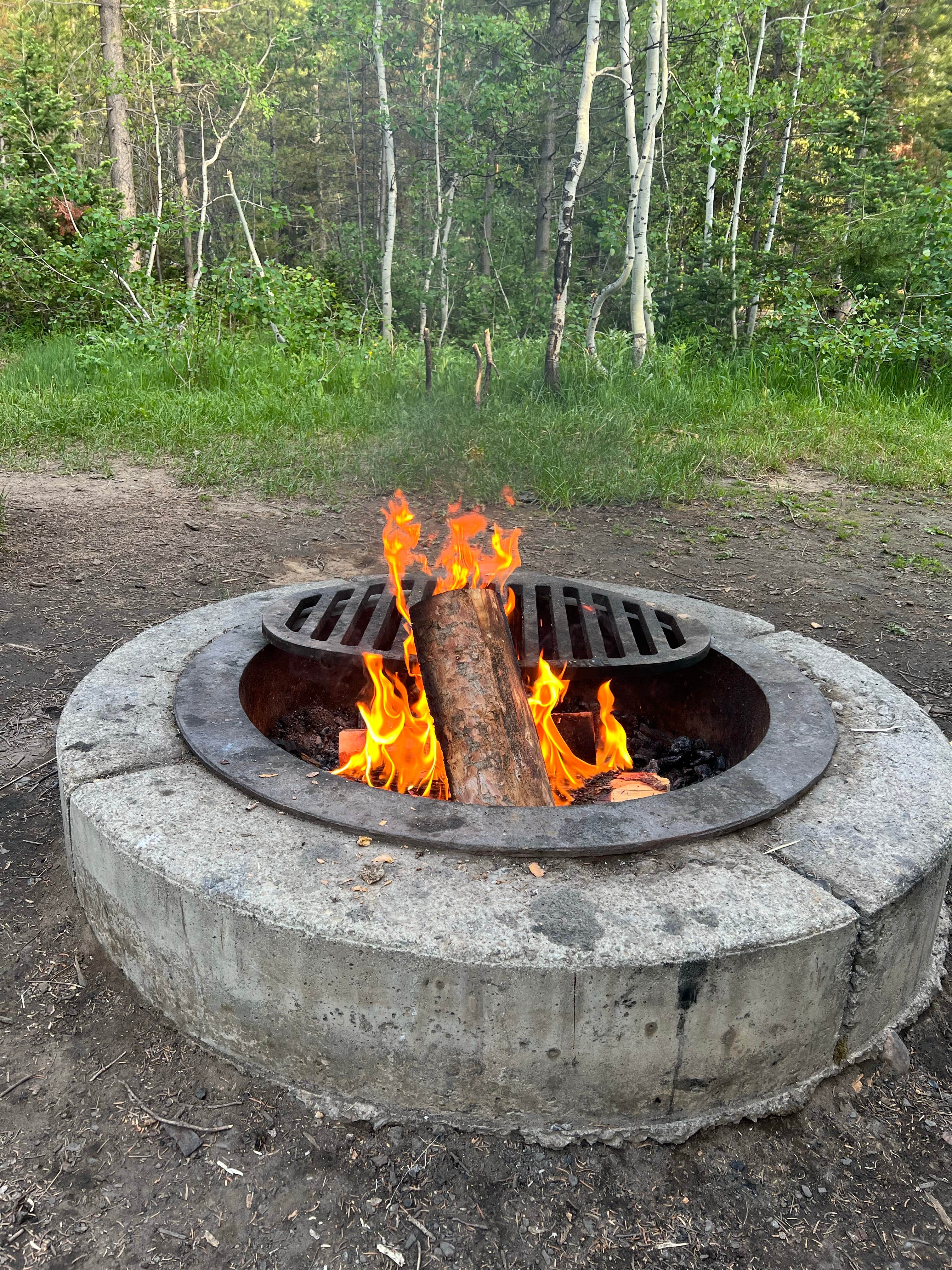 Camper submitted image from Wasatch National Forest Soapstone Campground - 1
