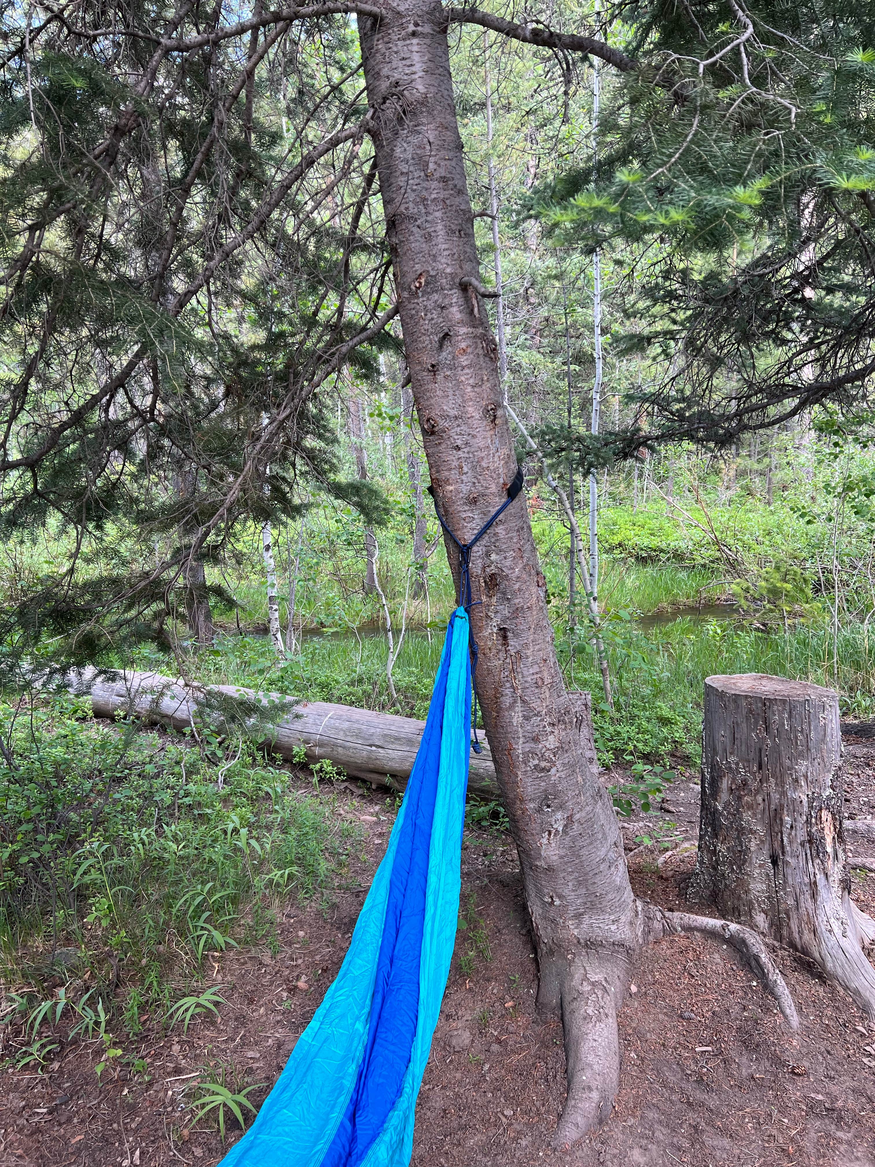 Camper-submitted photo at Wasatch National Forest Soapstone Campground near Kamas, UT