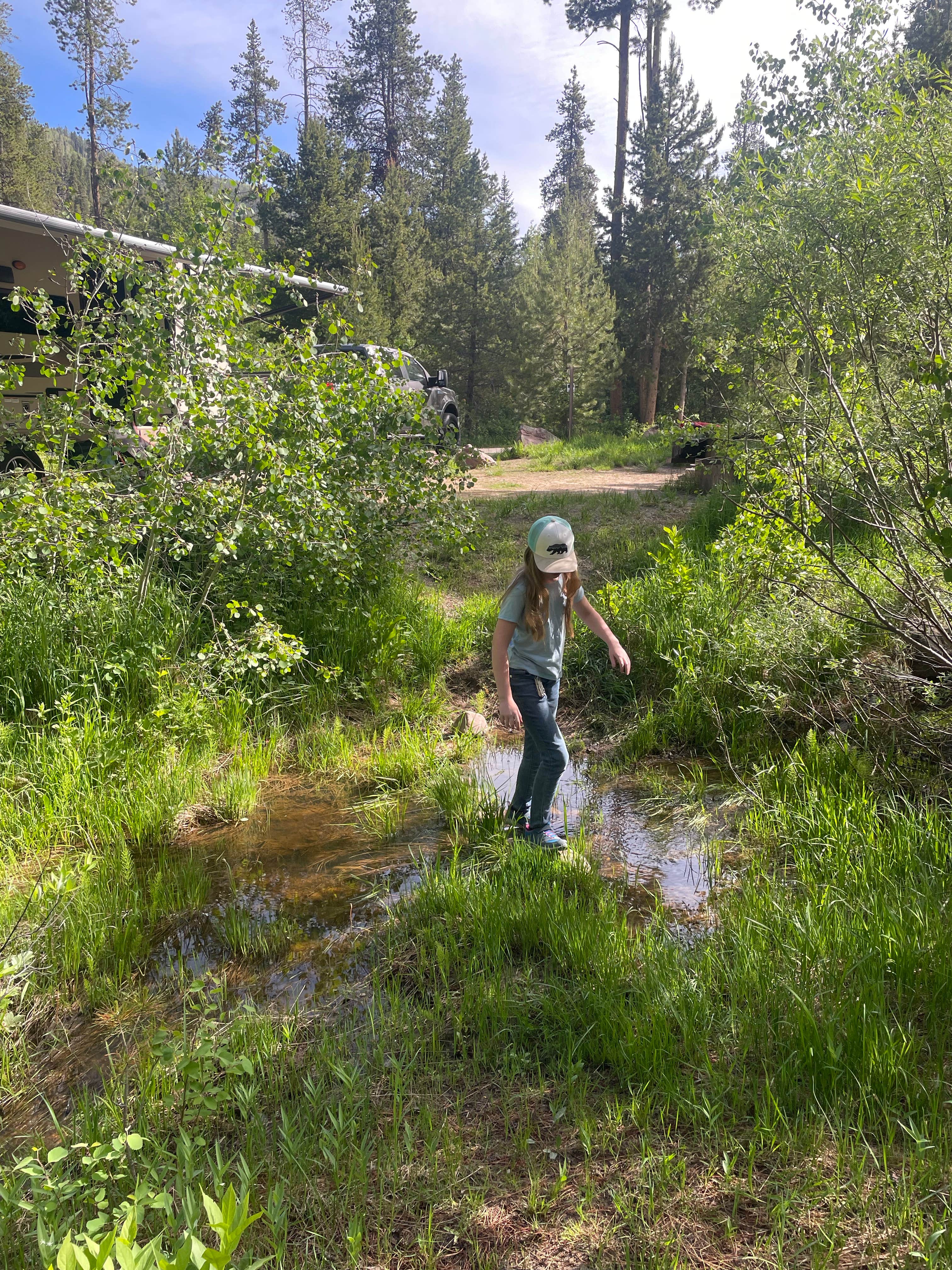 Camper submitted image from Wasatch National Forest Soapstone Campground - 5