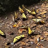 Review photo of wash Creek Dispersed Campsite #3 by Rachael F., July 14, 2026