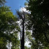 Review photo of wash Creek Dispersed Campsite #3 by Rachael F., July 14, 2026