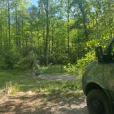 Review photo of wash Creek dispersed campsite seven and eight by Patricia I., May 5, 2026