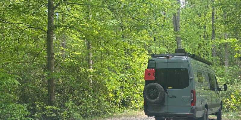 Camper submitted image from wash Creek dispersed campsite seven and eight