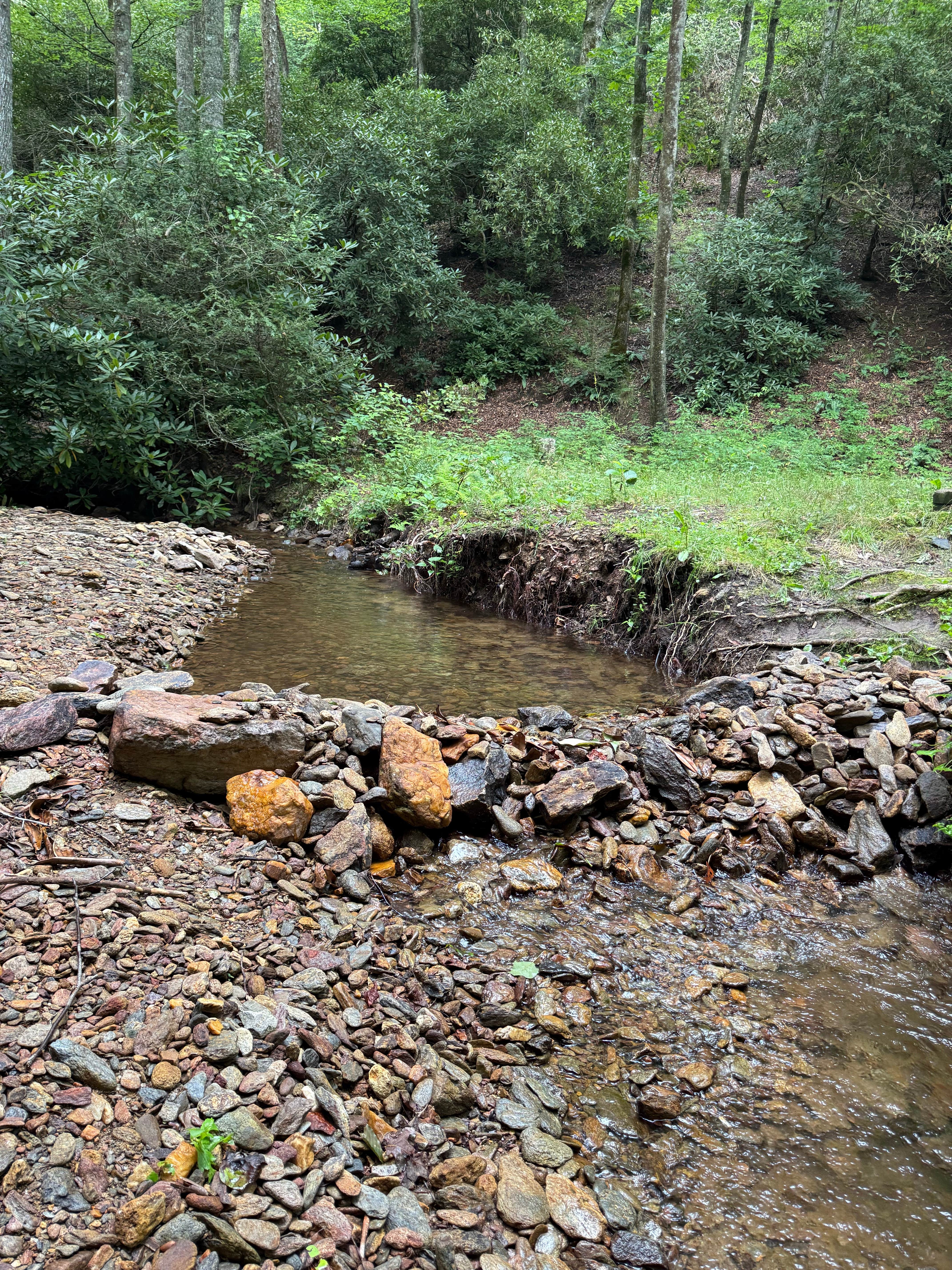Camper-submitted photo at Wash Creek Dispersed Campsites #4 and #5 near Glendale, SC