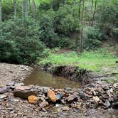 Review photo of Wash Creek Dispersed Campsites #4 and #5 by Logan S., August 23, 2025