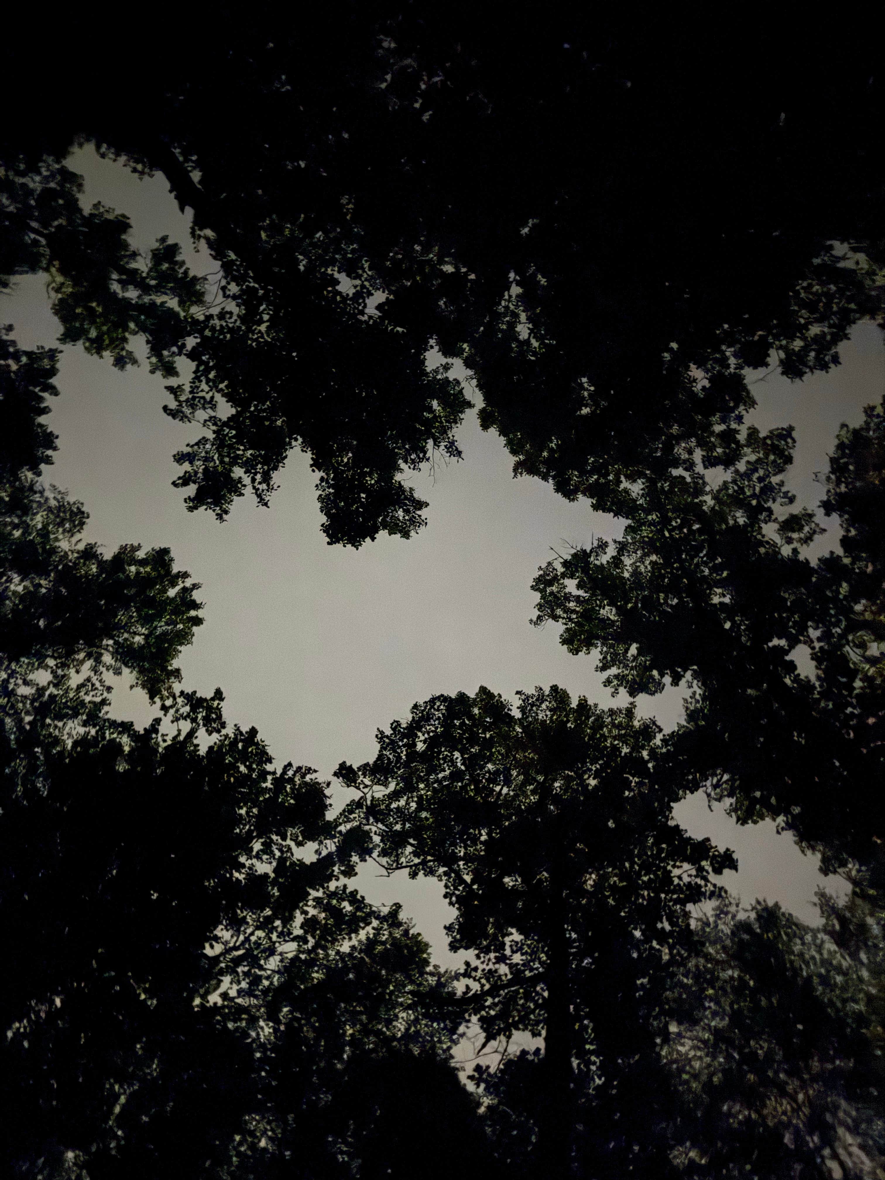 Camper-submitted photo at Wash Creek Dispersed Campsites #4 and #5 near Glendale, SC