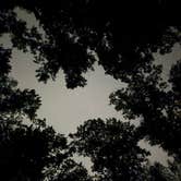 Review photo of Wash Creek Dispersed Campsites #4 and #5 by Logan S., August 23, 2025