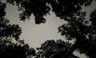 Logan S.'s photo of a dispersed camping area at Wash Creek Dispersed Campsites #4 and #5 near Glendale, SC