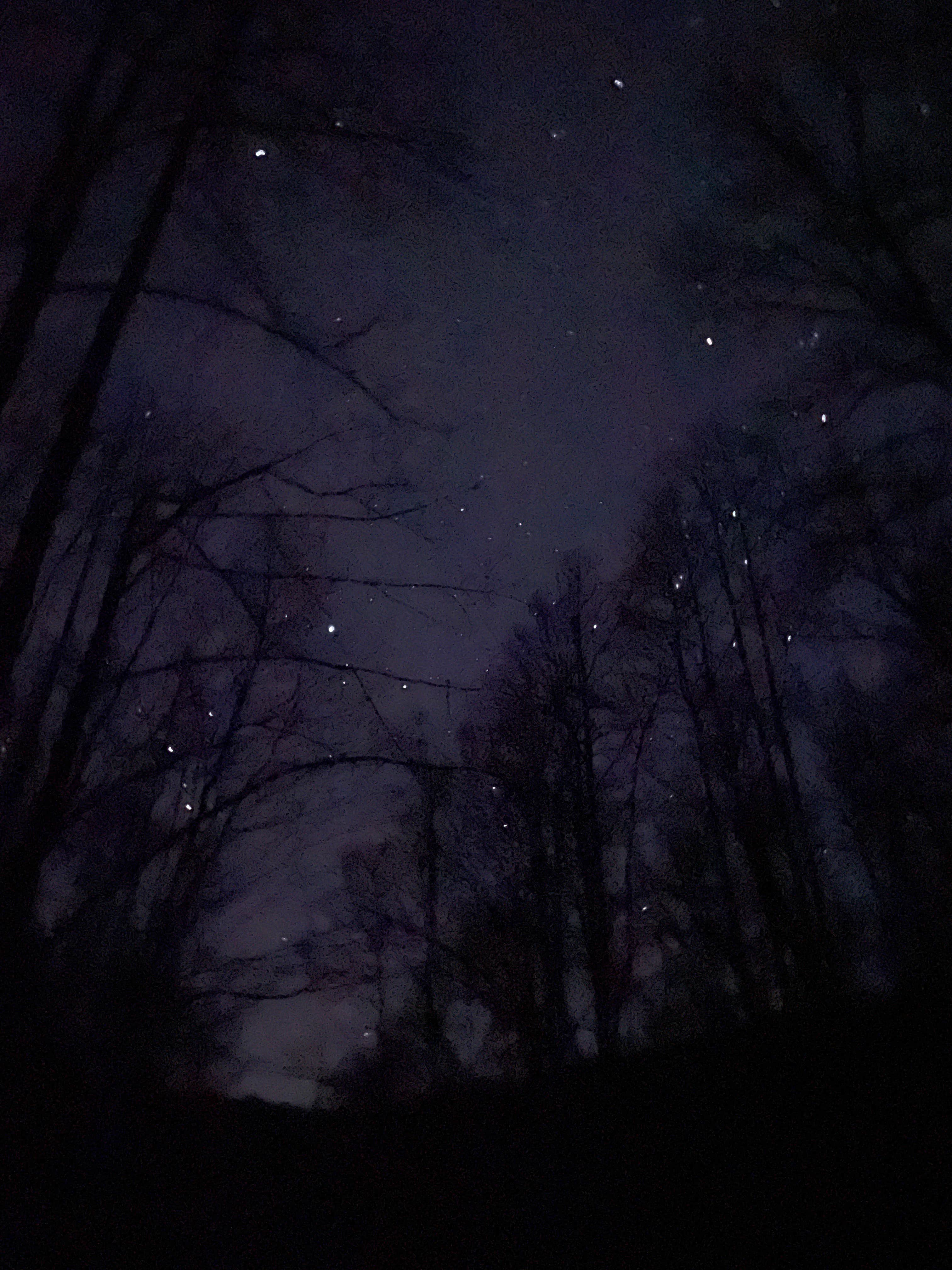 Camper-submitted photo at Wash Creek Dispersed Pull-Off near Glendale, SC