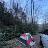 Review photo of Wash Creek Dispersed Pull-Off by Jake C., April 1, 2024