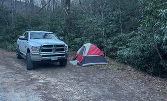 Camping near Mt Pisgah Campground — Blue Ridge Parkway: Wash Creek Dispersed Pull-Off, Mills River, North Carolina