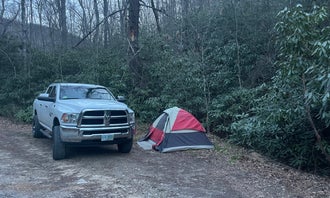 Camping near North Mills River: Wash Creek Dispersed Pull-Off, Mills River, North Carolina