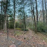 Review photo of Wash Creek Dispersed Pull-Off by Peyton P., November 4, 2025