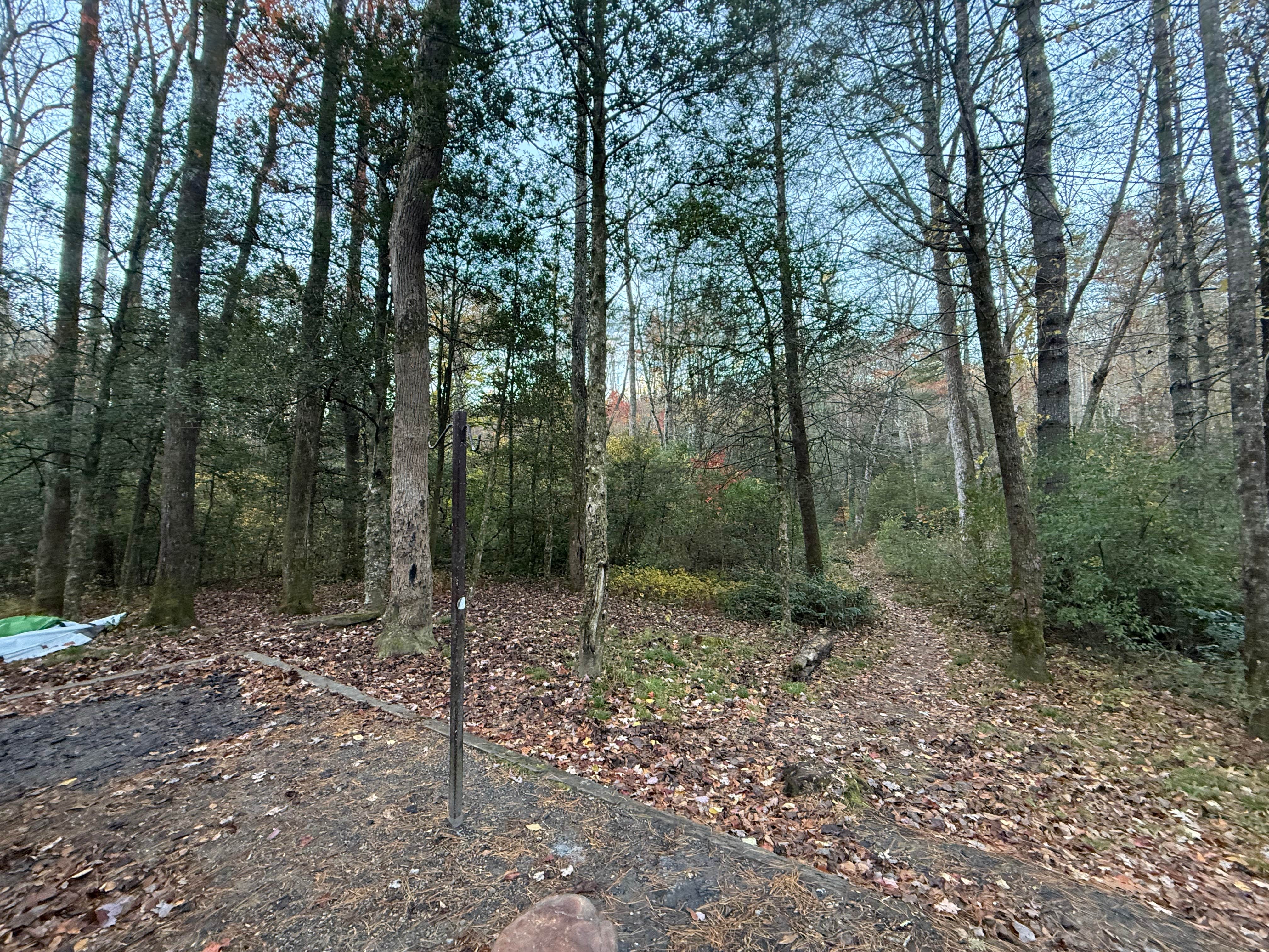 Camper submitted image from Wash Creek Dispersed Pull-Off - 5