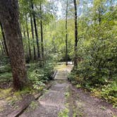 Review photo of Wash Creek Dispersed Pull-Off by Morgan E., August 11, 2026