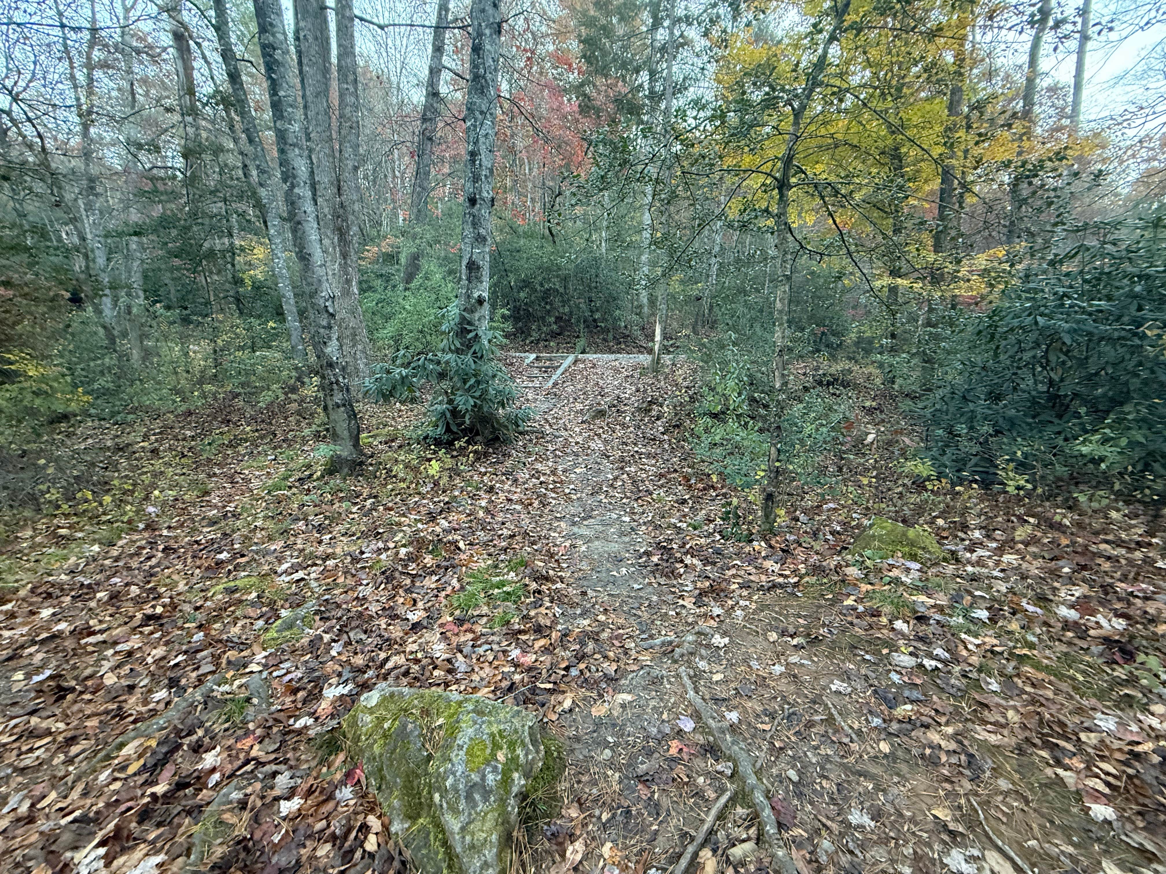 Camper-submitted photo at Wash Creek Dispersed Pull-Off near Glendale, SC