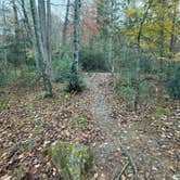 Review photo of Wash Creek Dispersed Pull-Off by Peyton P., November 4, 2025