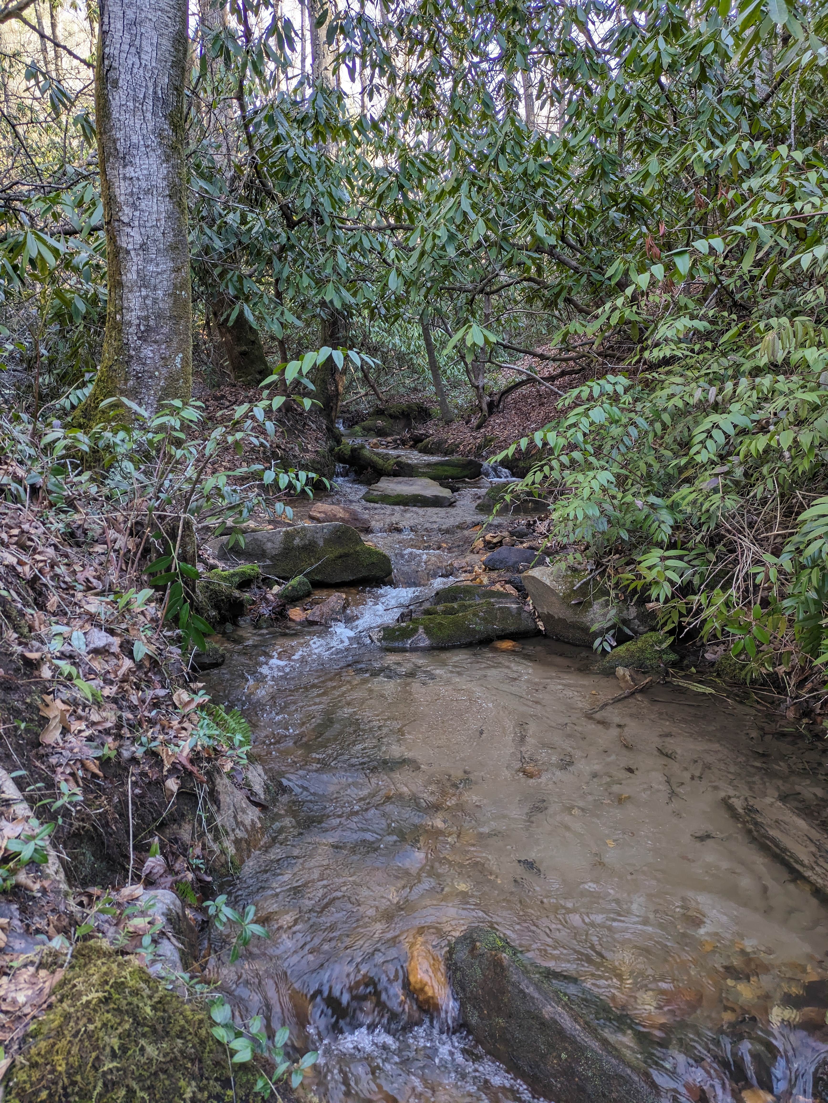 Camper-submitted photo at Wash Creek Dispersed Site #2 near Candler, NC
