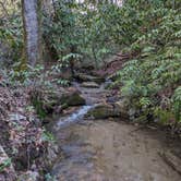 Review photo of Wash Creek Dispersed Site #2 by Heather C., March 10, 2024