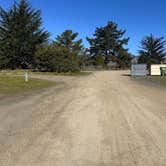 Review photo of Washburn Primitive Campground — Hearst San Simeon State Park by dond , January 11, 2025