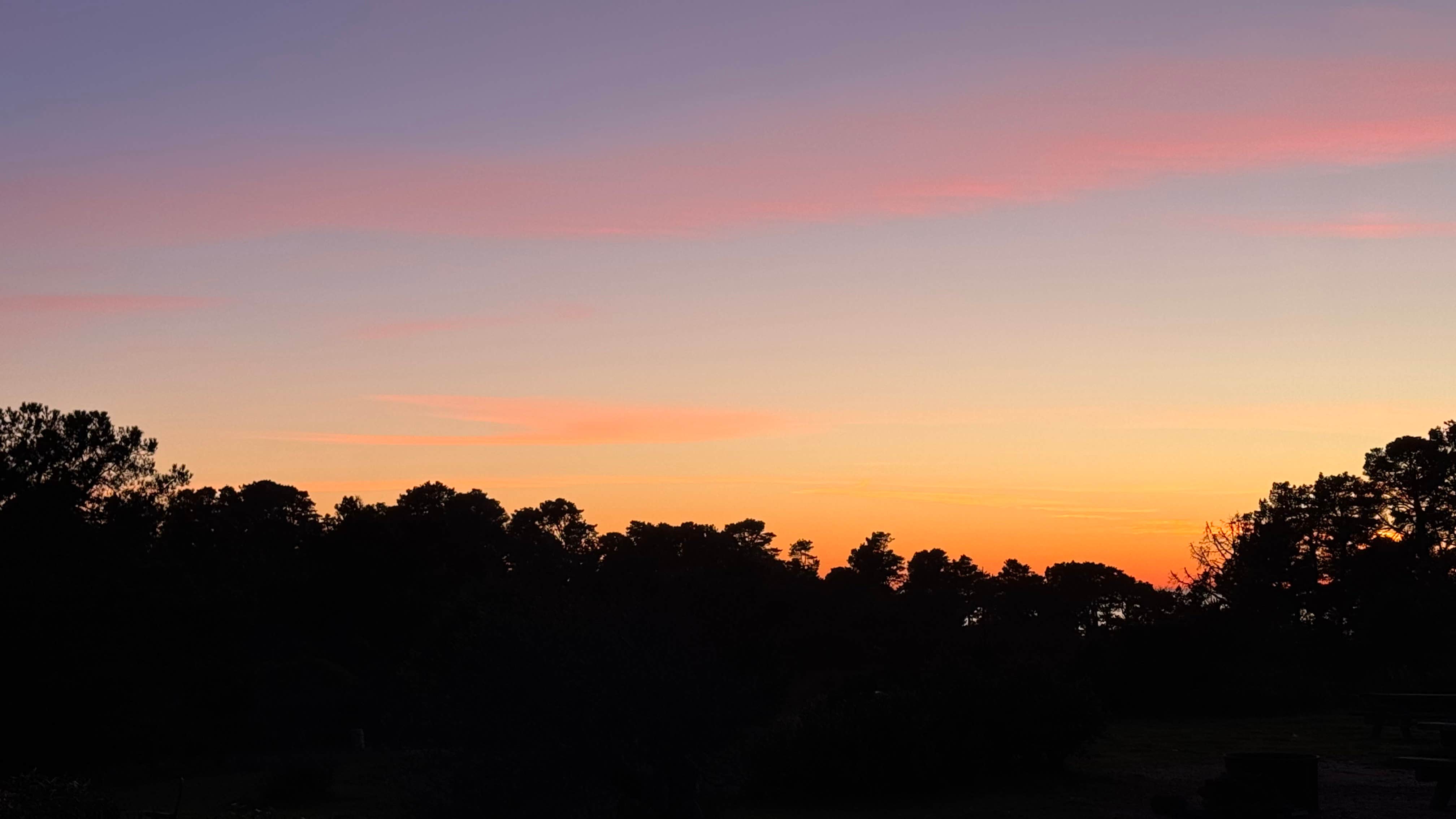 Camper submitted image from Washburn Primitive Campground — Hearst San Simeon State Park - 1