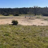 Review photo of Washburn Primitive Campground — Hearst San Simeon State Park by dond , January 11, 2025