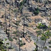 Review photo of Alta Lake State Park Campground by Jen M., August 5, 2024