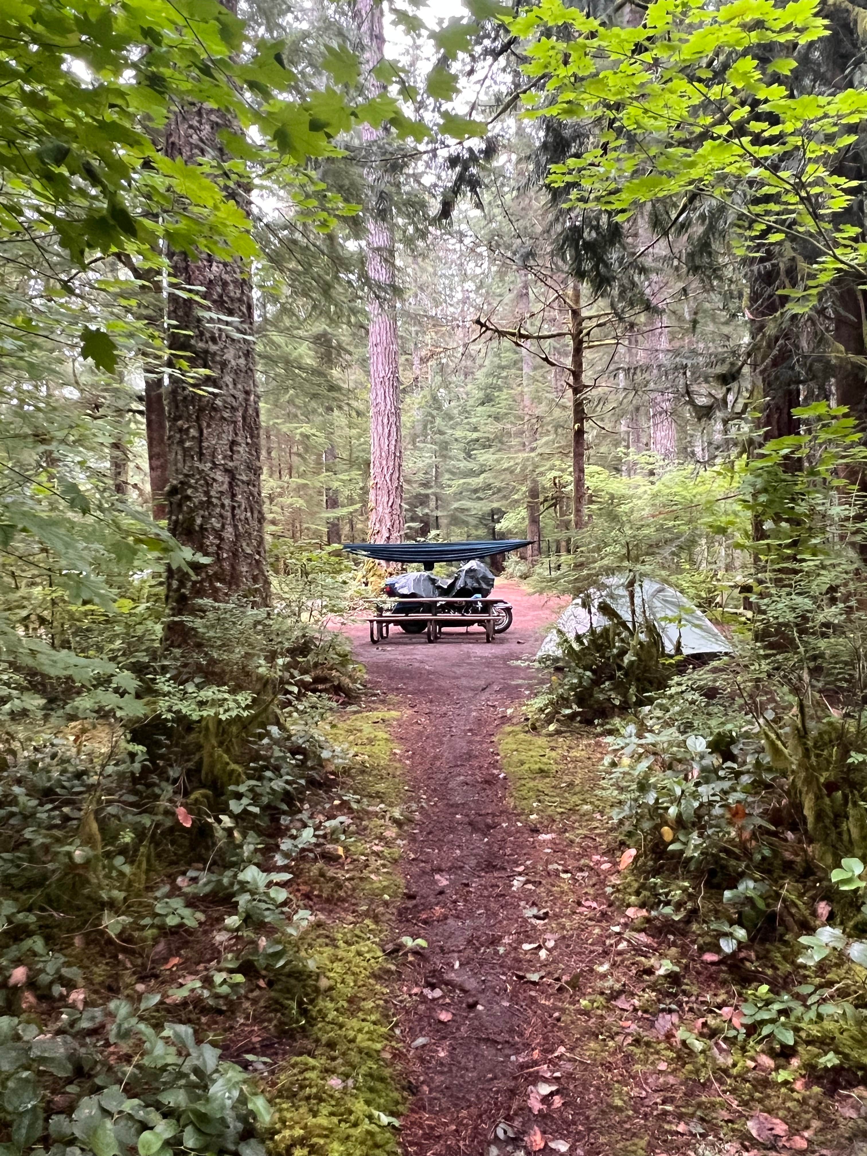 Camper-submitted photo at Bear Creek - State Forest near Beaver, WA