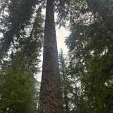 Review photo of Bear Creek - State Forest by Darron S., July 23, 2026