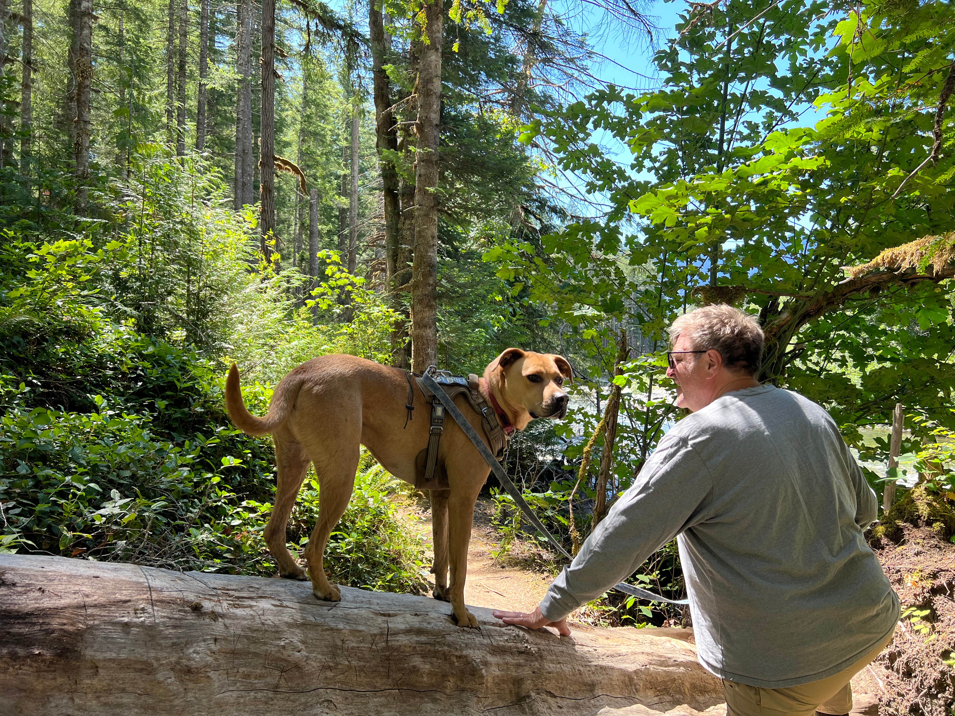 Patti C.'s photo of camping with pets at Beckler River Campground near North Bend, WA