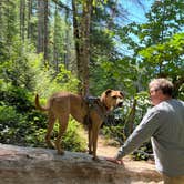 Review photo of Beckler River Campground by Patti C., July 25, 2024