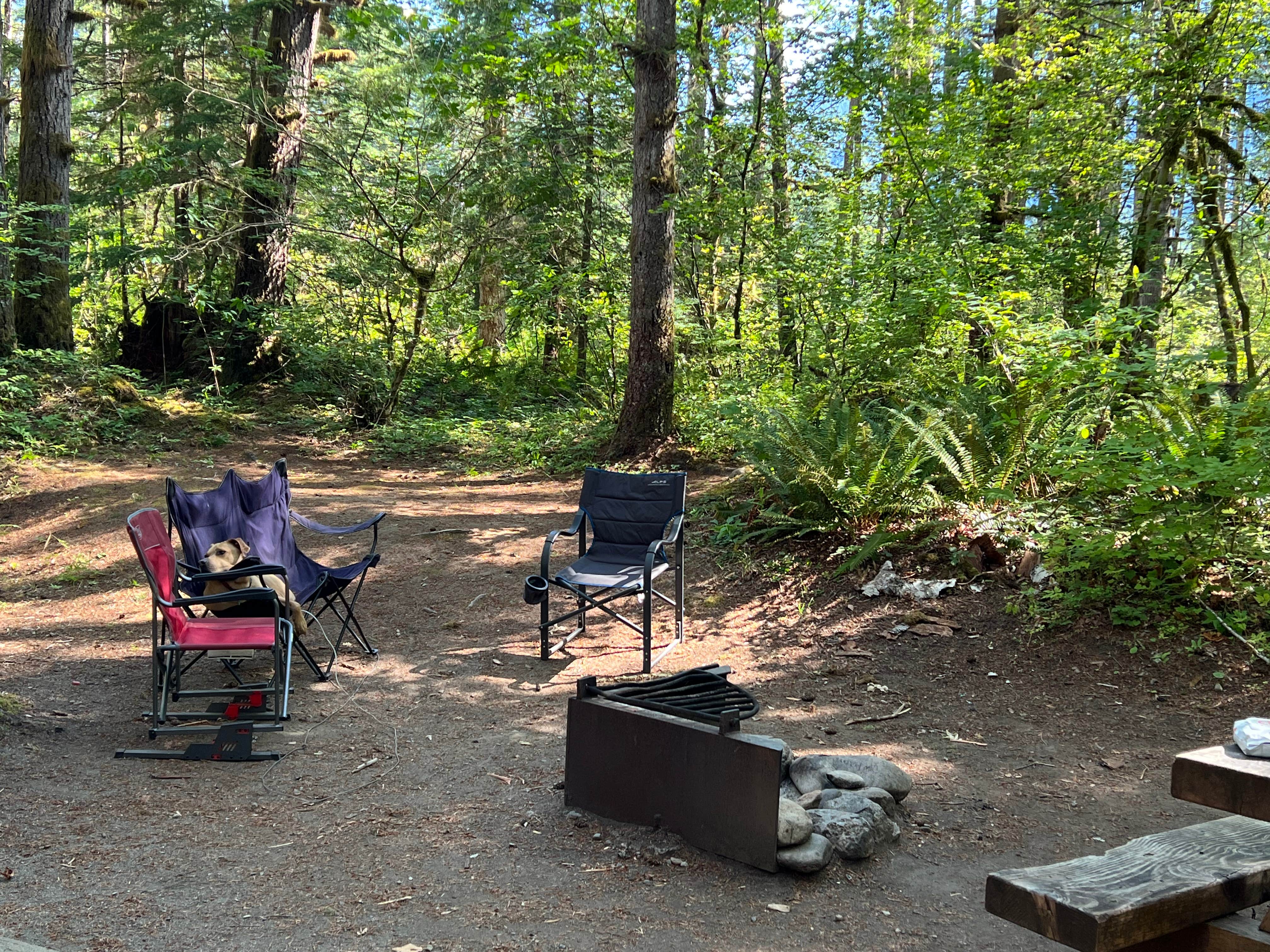 Patti C.'s photo at Beckler River Campground near Index, WA