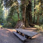 Review photo of Bedal Campground by Zarek A., September 5, 2024