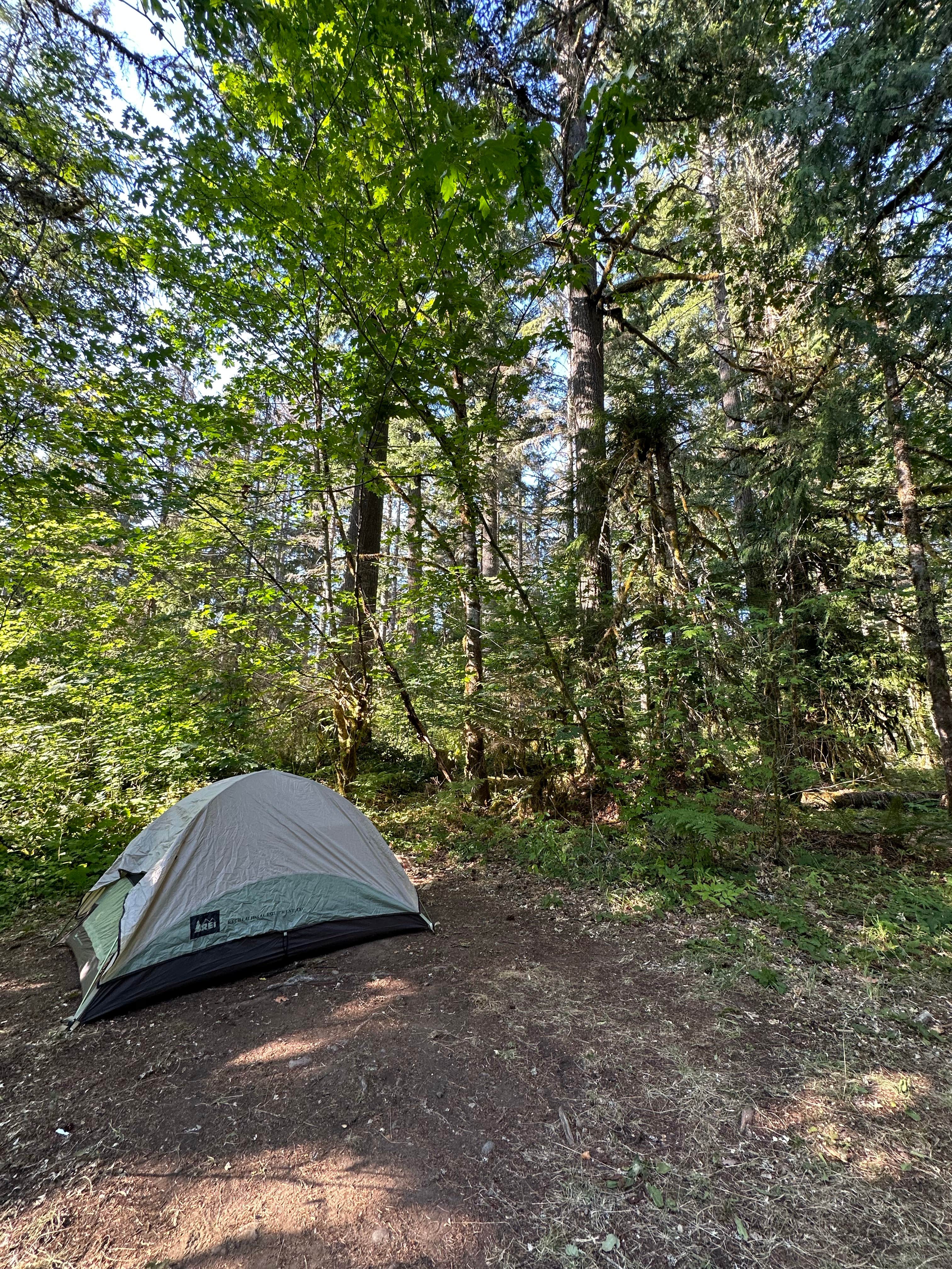 Candice M.'s photo at Big Creek Campground near Elbe, WA