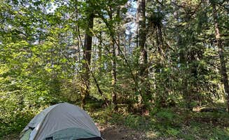 Candice M.'s photo at Big Creek Campground near Elbe, WA