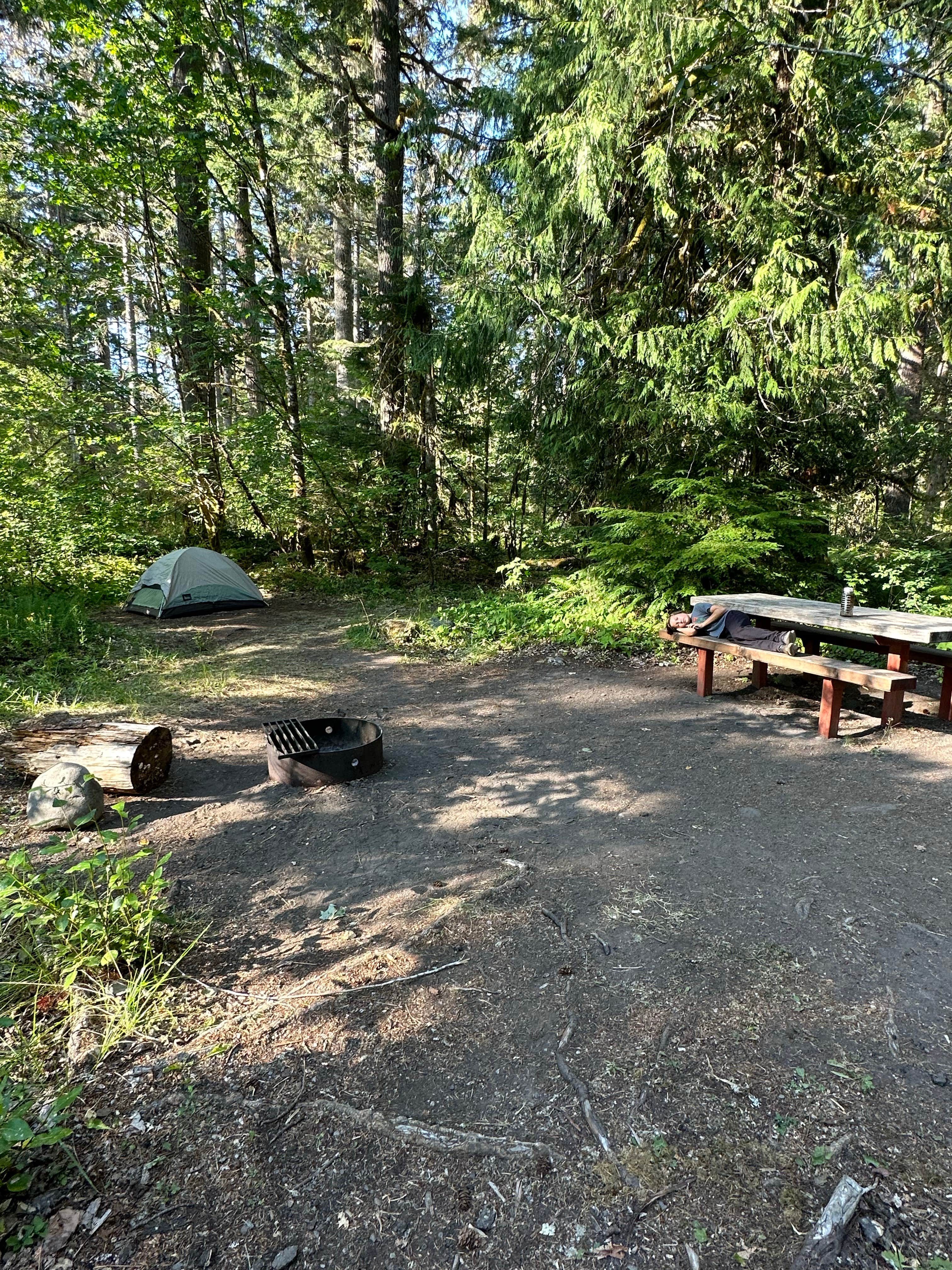 Candice M.'s photo at Big Creek Campground near Randle, WA