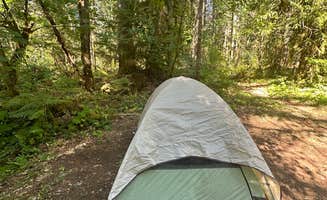 Candice M.'s photo at Big Creek Campground near Mineral, WA