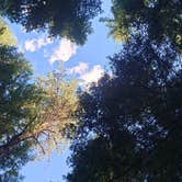 Review photo of Big Meadow Lake Campground by Kendra C., August 1, 2025