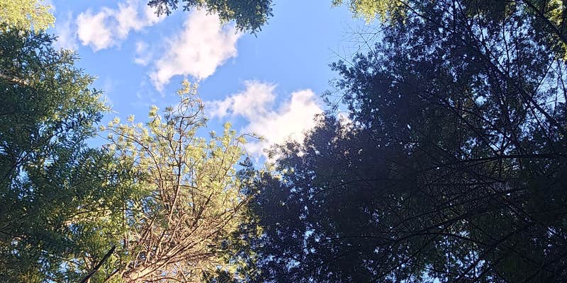 Camper submitted image from Big Meadow Lake Campground