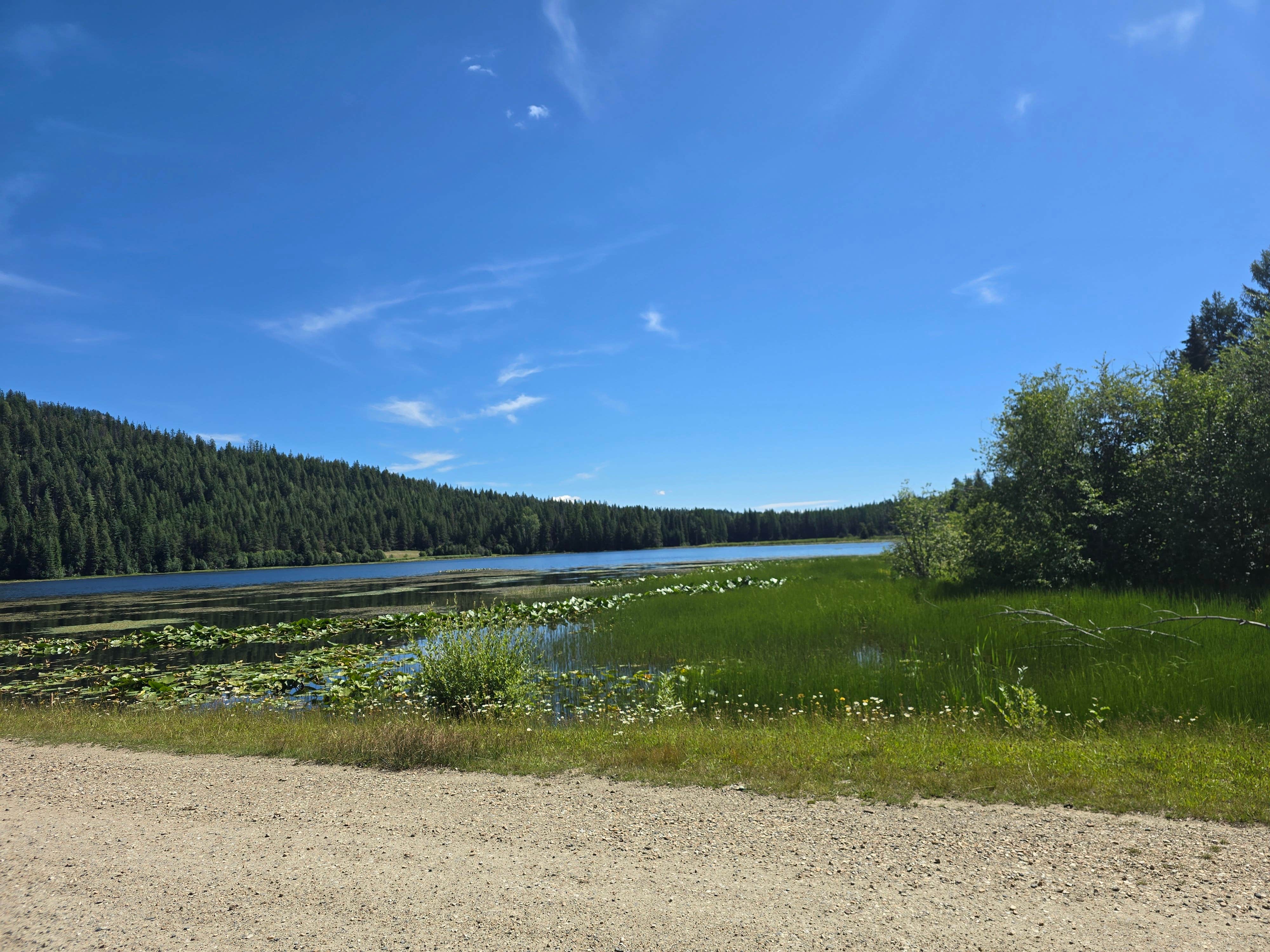 Camper submitted image from Big Meadow Lake Campground - 4