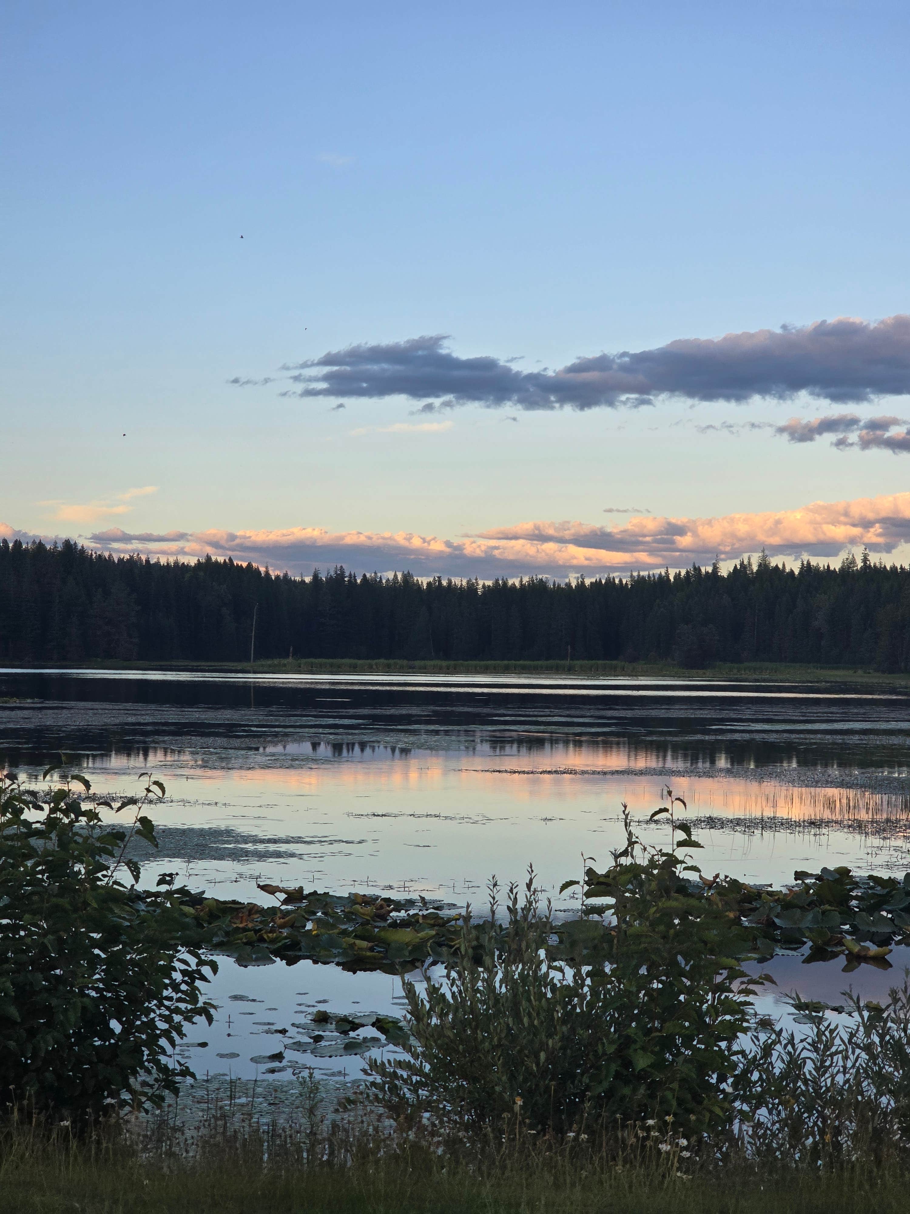Camper-submitted photo at Big Meadow Lake Campground near Ione, WA