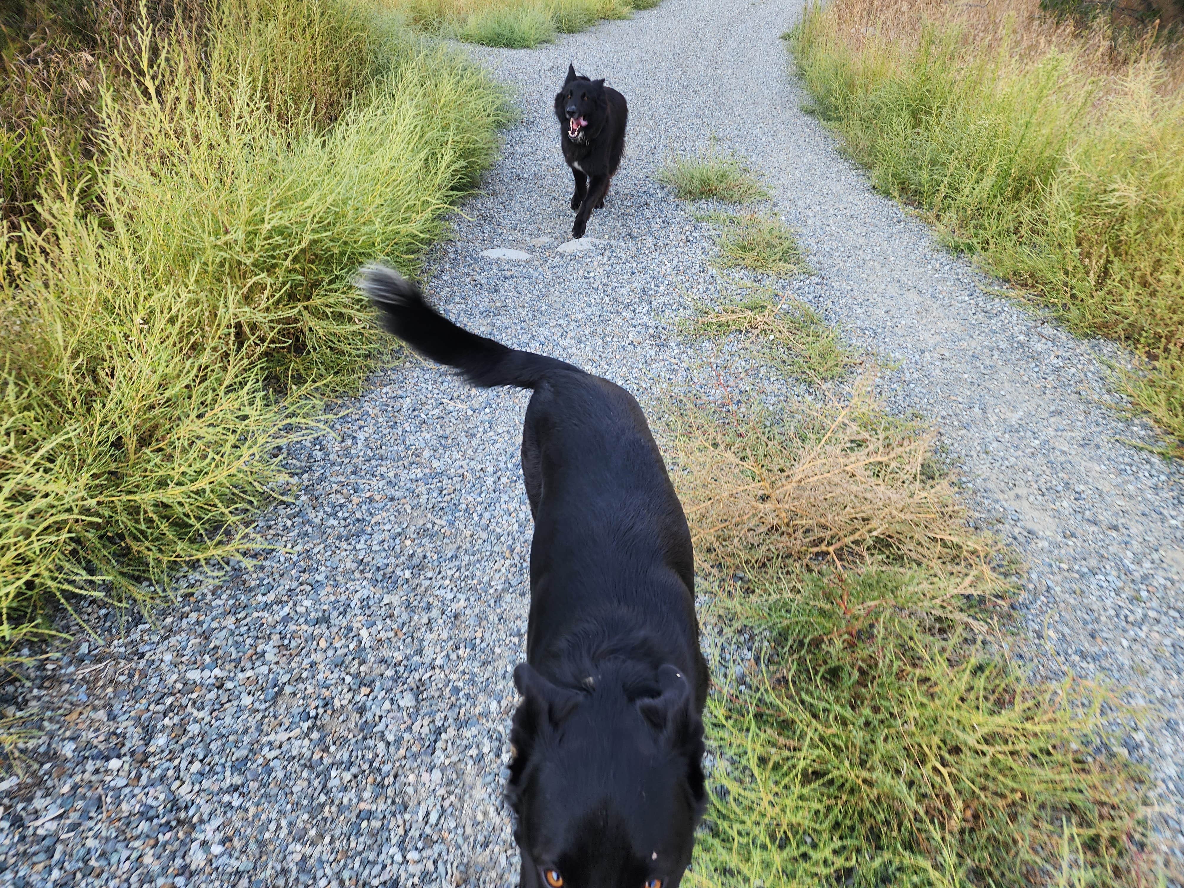 Camper-submitted photo at Blue Lake South near Tonasket, WA