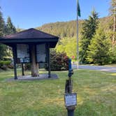 Review photo of Bogachiel State Park Campground by brendan , June 2, 2025