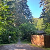 Review photo of Bogachiel State Park Campground by brendan , June 2, 2025