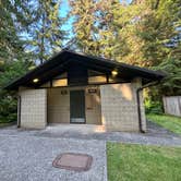 Review photo of Bogachiel State Park Campground by brendan , June 2, 2025