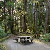 Review photo of Bogachiel State Park Campground by Tamatha B., October 13, 2026