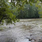 Review photo of Bogachiel State Park Campground by Carol & Ed V., October 2, 2025